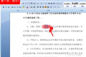 word怎么快速选取一行一段整篇任意文字.
