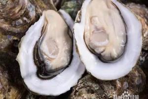 湛江炭烤烤生蚝.