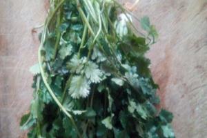 易学的香菜炒鸡蛋.