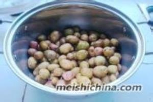 好吃鸡肉烧小土豆.