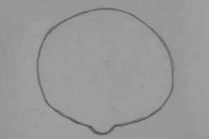 小动物简笔画——小猪.