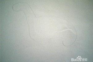简笔画恐龙怎样画.