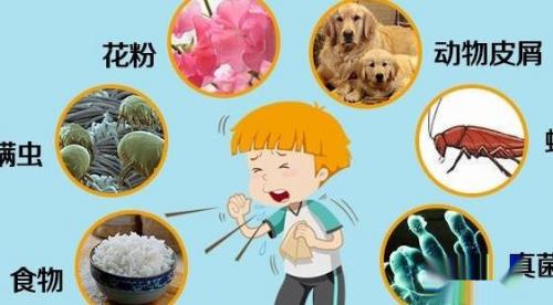 过敏性鼻炎与感冒的区别