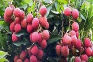 永春美丽乡村游.