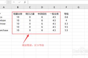 展示等级的柱形图.