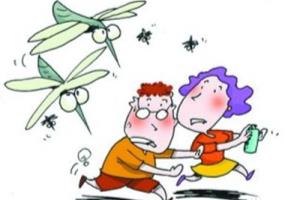 夏日，如何防止被蚊子叮咬的诀窍！.