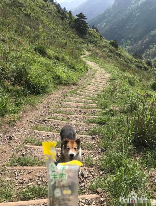 反穿徽杭古道