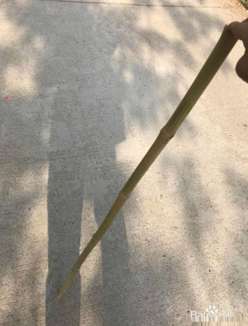 反穿徽杭古道