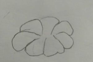怎么画牵牛花呢.