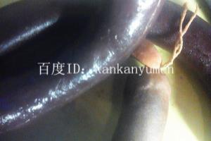怎么煎炒血肠.