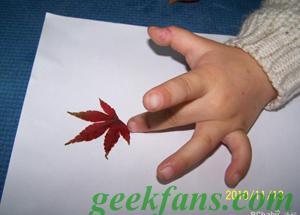 一步一步教你做精美的树叶贴画