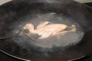鸽子汤怎么炖最营养.