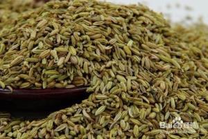 小茴香的作用是什么？.