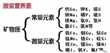 痛经怎么办?最全的解决痛经的方法。