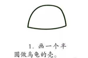 动物简笔画教程——教你如何画可爱的小乌龟.