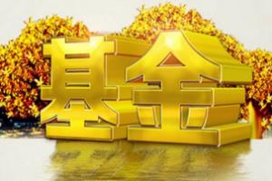 如何管理基金.