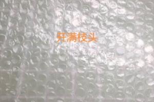 教你用气泡膜来绘画大树.