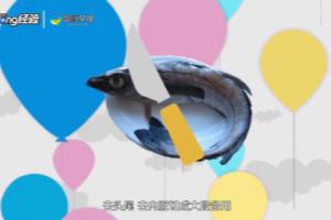 家常明太鱼炖豆腐怎么做.