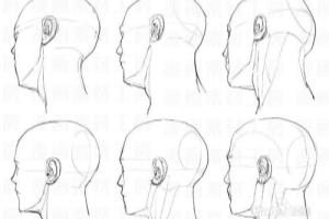 板绘初学者先练什么？学板绘详细步骤！.