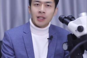墨玉和青花玉有什么区别呢。具体是怎么描述的.