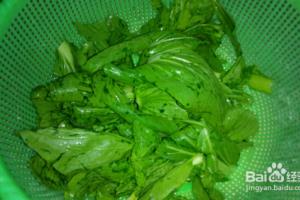 如何做小奶油菜炒海米.