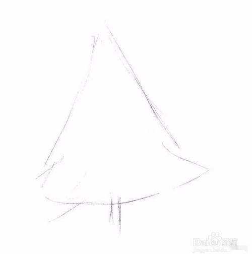 高山上的雪松