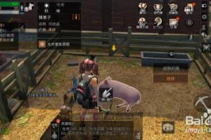 明日之后如何收获猪？.