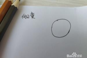 向日葵简笔画怎么画，怎么画向日葵简笔画？.