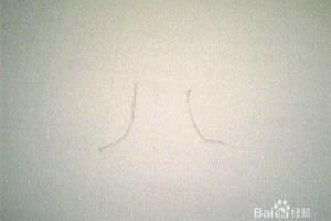 简笔画大树怎样画.