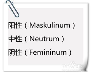 德语的名词在与格时有什么特点?