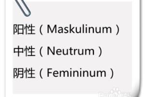 德语的名词在与格时有什么特点？.