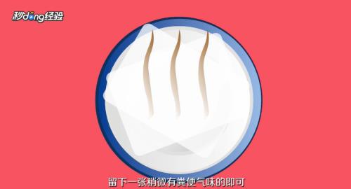 泰迪狗怎么训练大小便