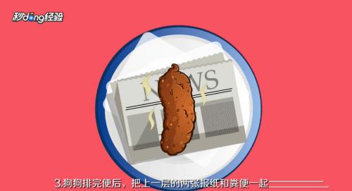 泰迪狗怎么训练大小便