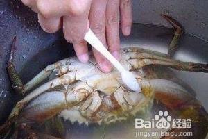 上海人清蒸大闸蟹做法.