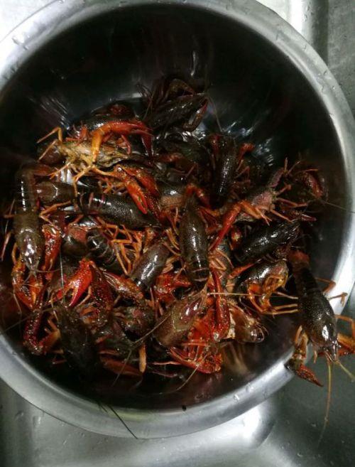 秘制蒜蓉小龙虾尾