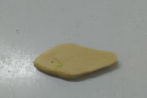 三角灯鱼怎么做.