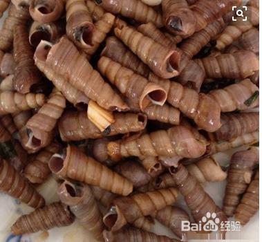 丁螺有异闻怎么清除