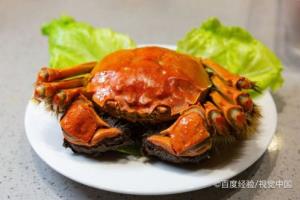 孕期能吃大闸蟹吗.