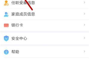 个人所得税怎么添加护照信息.