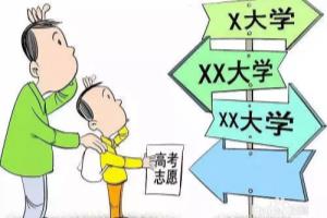 大学志愿如何填报.