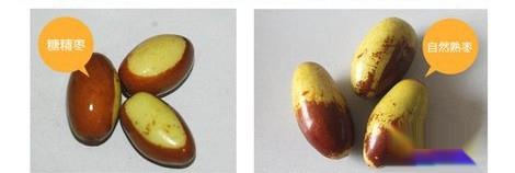 分辨糖精枣的办法