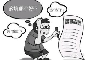 怎么填报志愿更好.