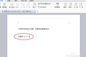 文档中如何统计字数.