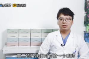 哈士奇和二哈是一个品种吗.