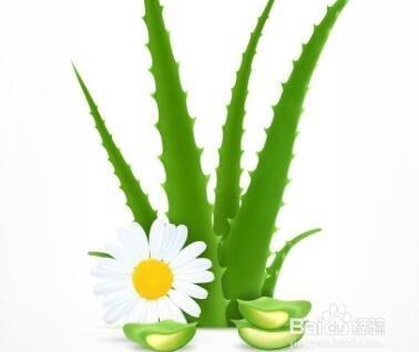 如何去除面部皱纹