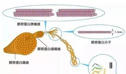 如何去除面部皱纹