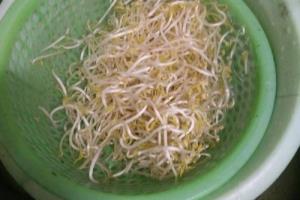 红辣椒炒绿豆芽.