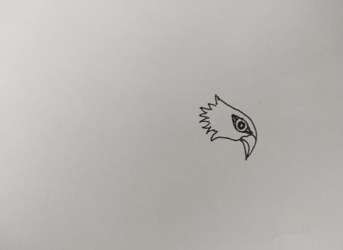 雄鹰怎么画?
