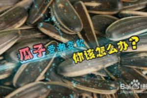 瓜子受潮不好吃怎么办？教你一招恢复酥脆.