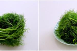 茴香豆嘴儿粉条汤菜.